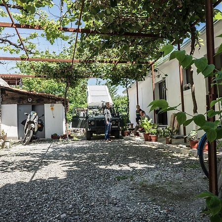 Eco Garten Guest House Shkoder Bagian luar foto