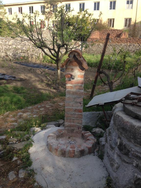 Eco Garten Guest House Shkoder Bagian luar foto