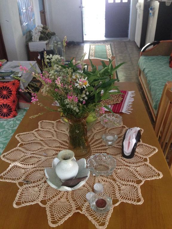 Eco Garten Guest House Shkoder Bagian luar foto