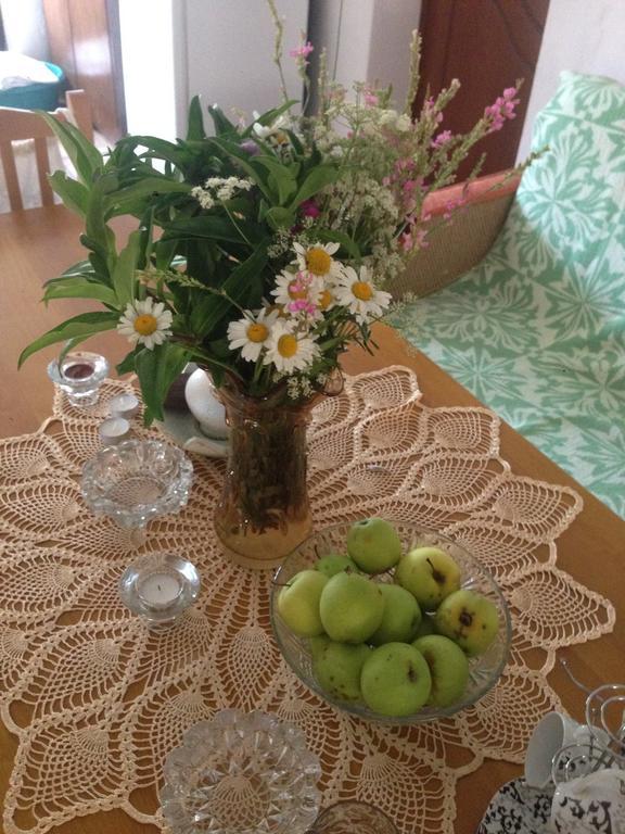 Eco Garten Guest House Shkoder Bagian luar foto