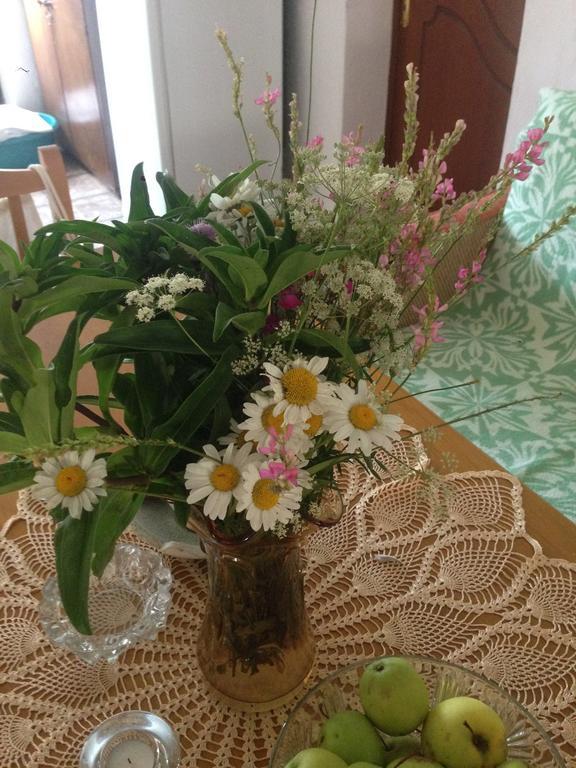 Eco Garten Guest House Shkoder Bagian luar foto