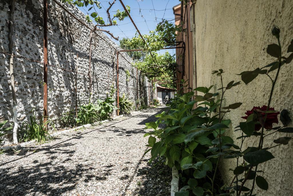 Eco Garten Guest House Shkoder Bagian luar foto