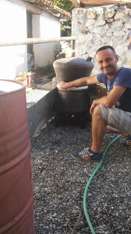 Eco Garten Guest House Shkoder Bagian luar foto