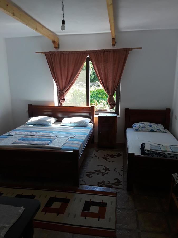 Eco Garten Guest House Shkoder Bagian luar foto