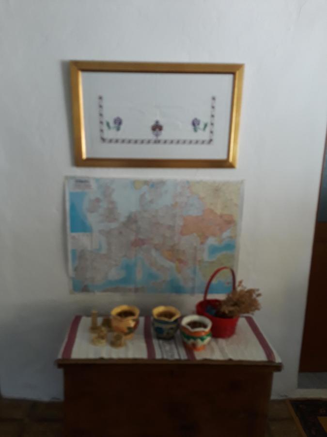 Eco Garten Guest House Shkoder Bagian luar foto